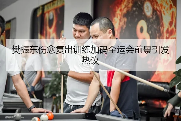 樊振东伤愈复出训练加码全运会前景引发热议
