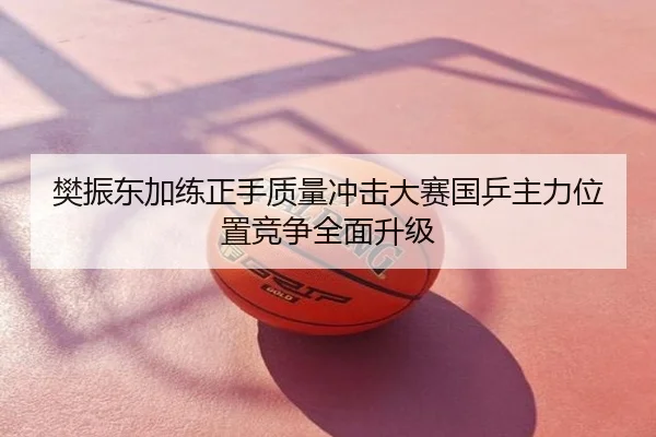 樊振东加练正手质量冲击大赛国乒主力位置竞争全面升级
