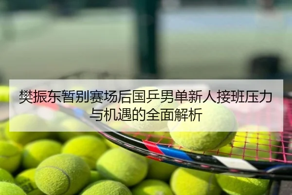 樊振东暂别赛场后国乒男单新人接班压力与机遇的全面解析